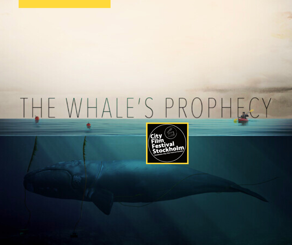 The Whale’s Prophecy